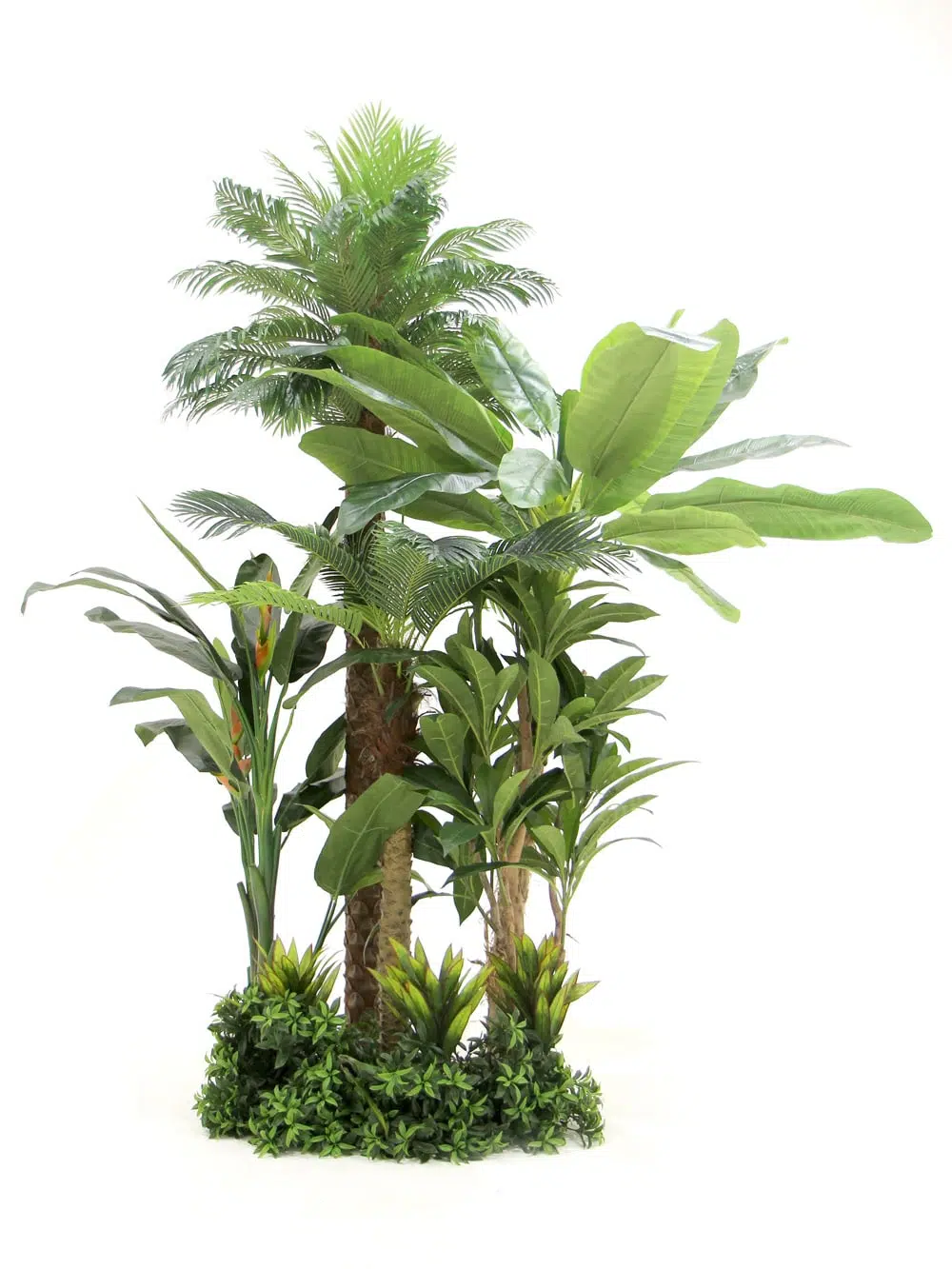 SN5846 Tropical Foliage Montage #1 _event_prop_hire_134