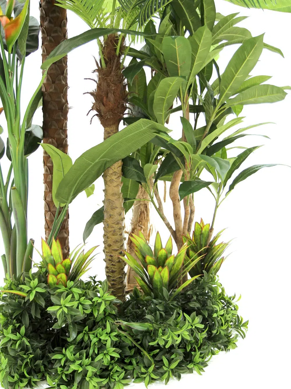 SN5846 Tropical Foliage Montage #1 _event_prop_hire_135