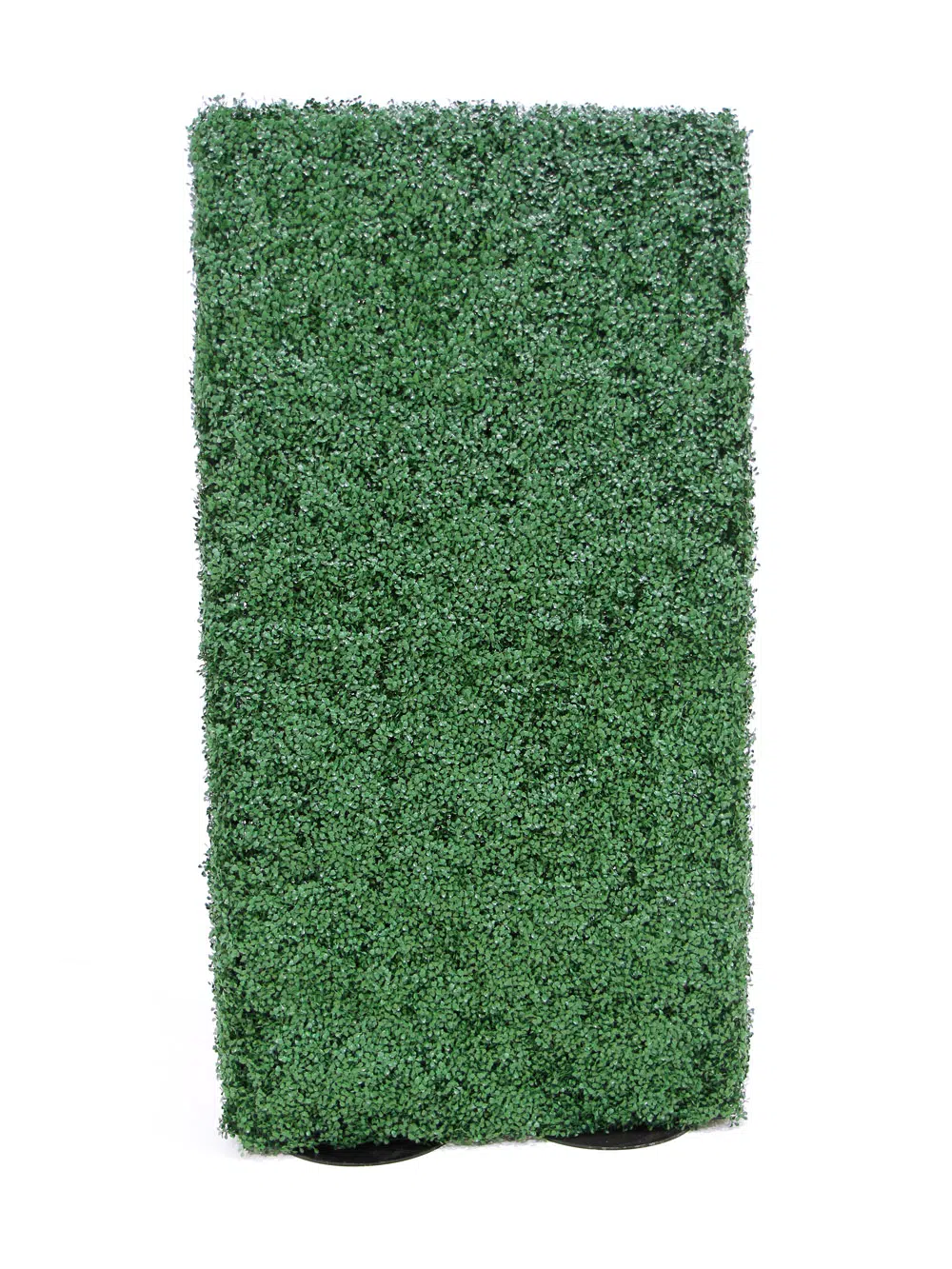 SN5763_Tall Box Hedge - Double Sided - 2m_137