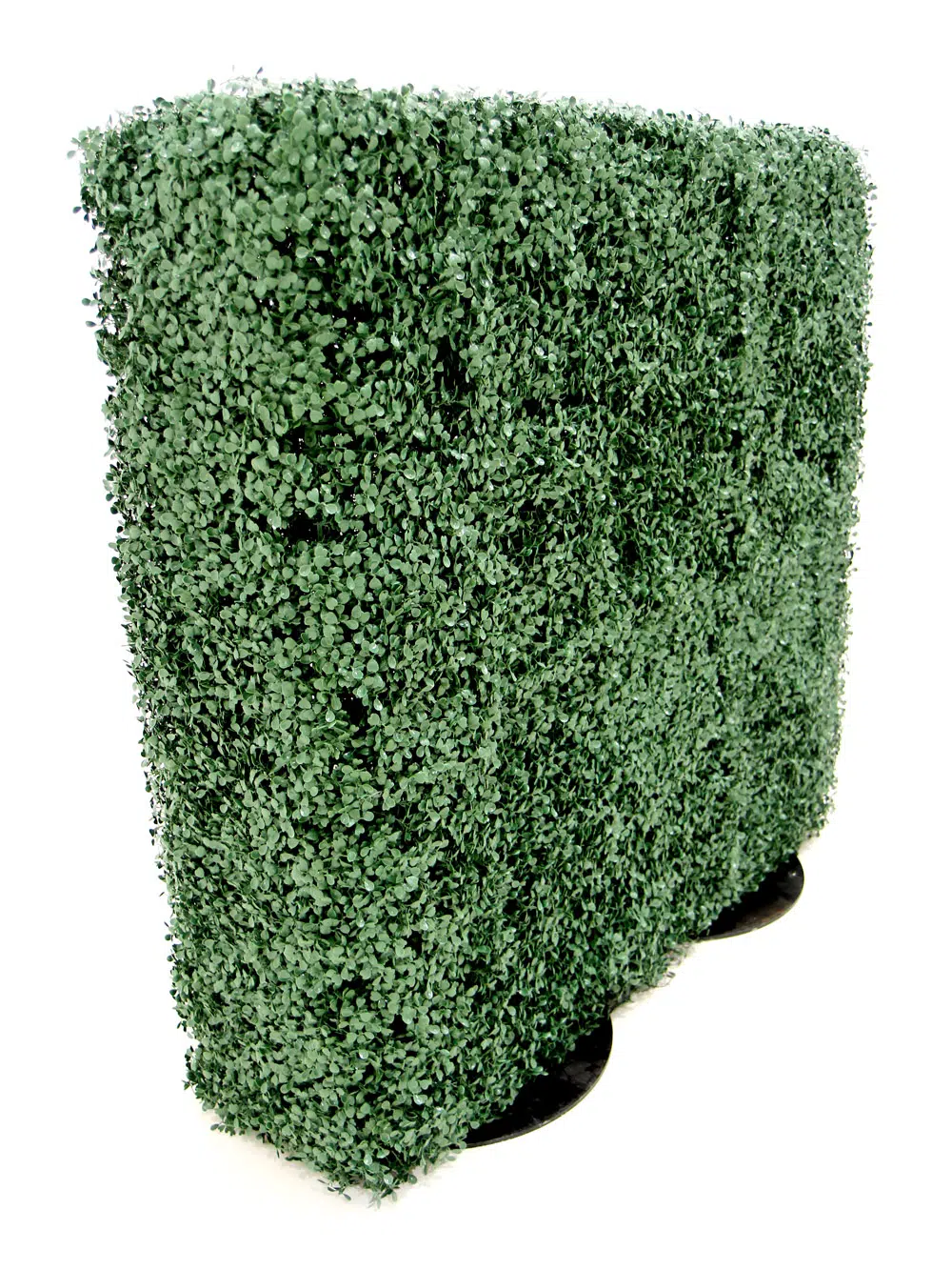 SN5764_Small Box Hedge - Double Sided - 1m_245