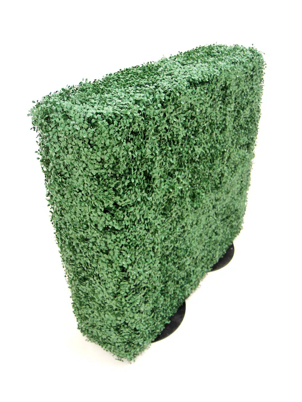 SN5764_Small Box Hedge - Double Sided_187