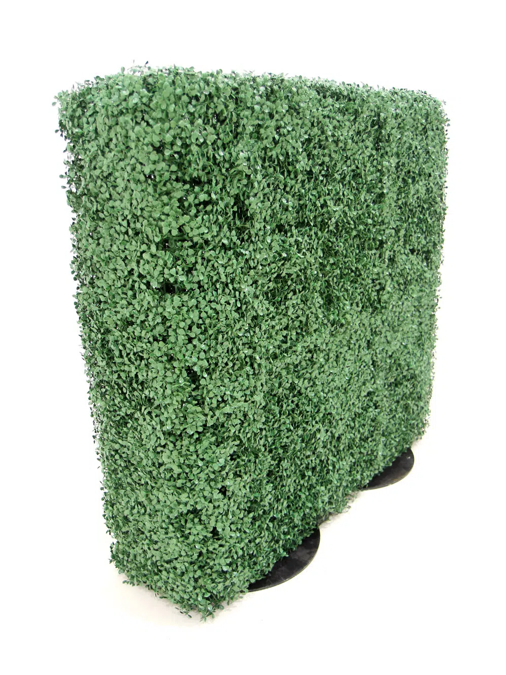 SN5764_Small Box Hedge - Double Sided_188