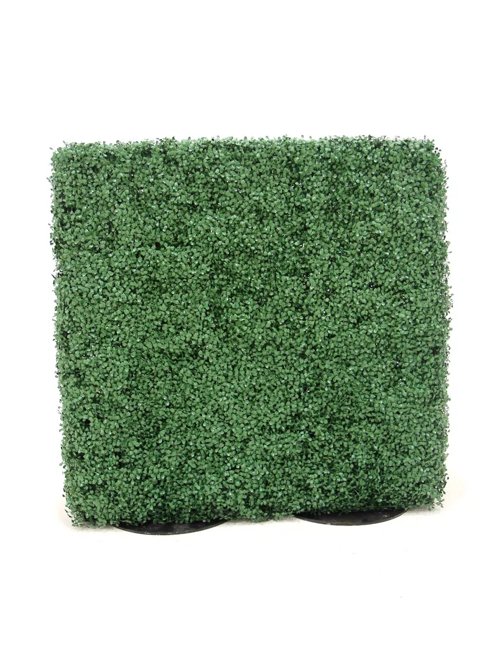 SN5764_Small Box Hedge - Double Sided_189
