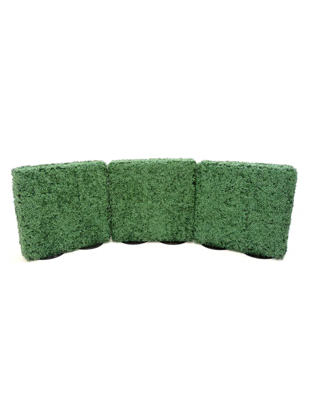 SN5764_Small Box Hedge - Double Sided_190