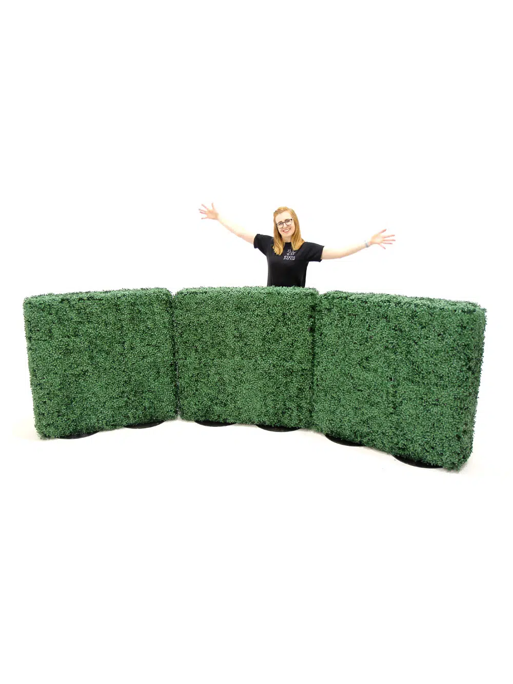 SN5764_Small Box Hedge - Double Sided_191