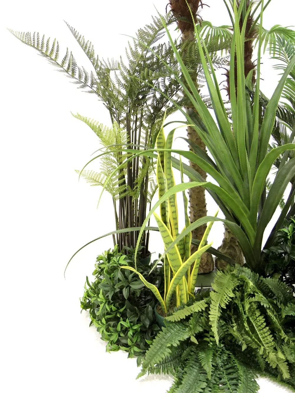 SN5848 Tropical Foliage Montage #4 _event_prop_hire_130_High Res