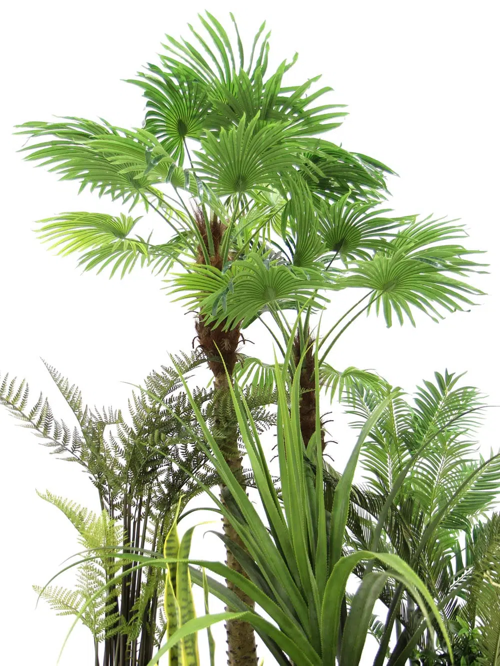 SN5848 Tropical Foliage Montage #4 _event_prop_hire_131_High Res