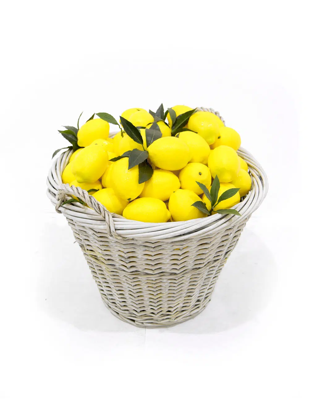 SN6037_Basket of Lemons - Large_023