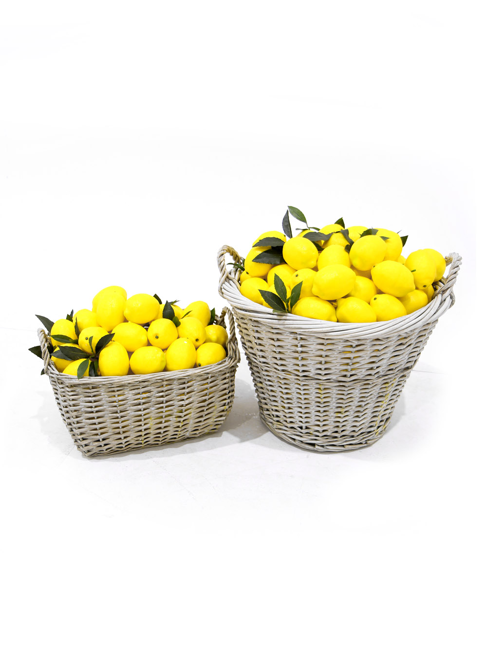 SN6037_SN6038_Baskets of Lemons_025