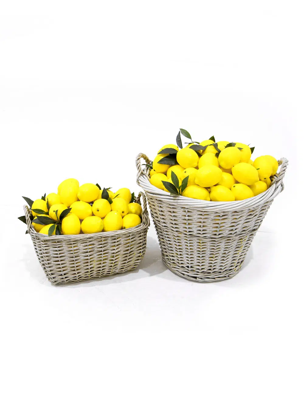 SN6037_SN6038_Baskets of Lemons_025