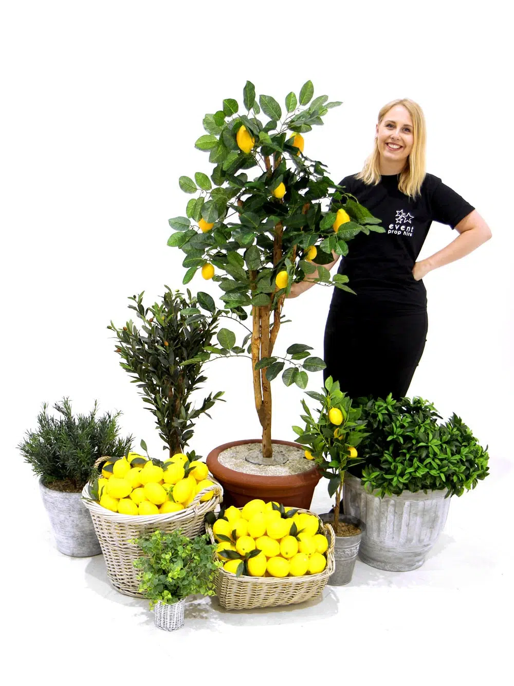 SN6037_SN6038_SN6034_SN6039_Baskets of Lemons & Lemon Tree & Mediterranean Style Plant Set_028