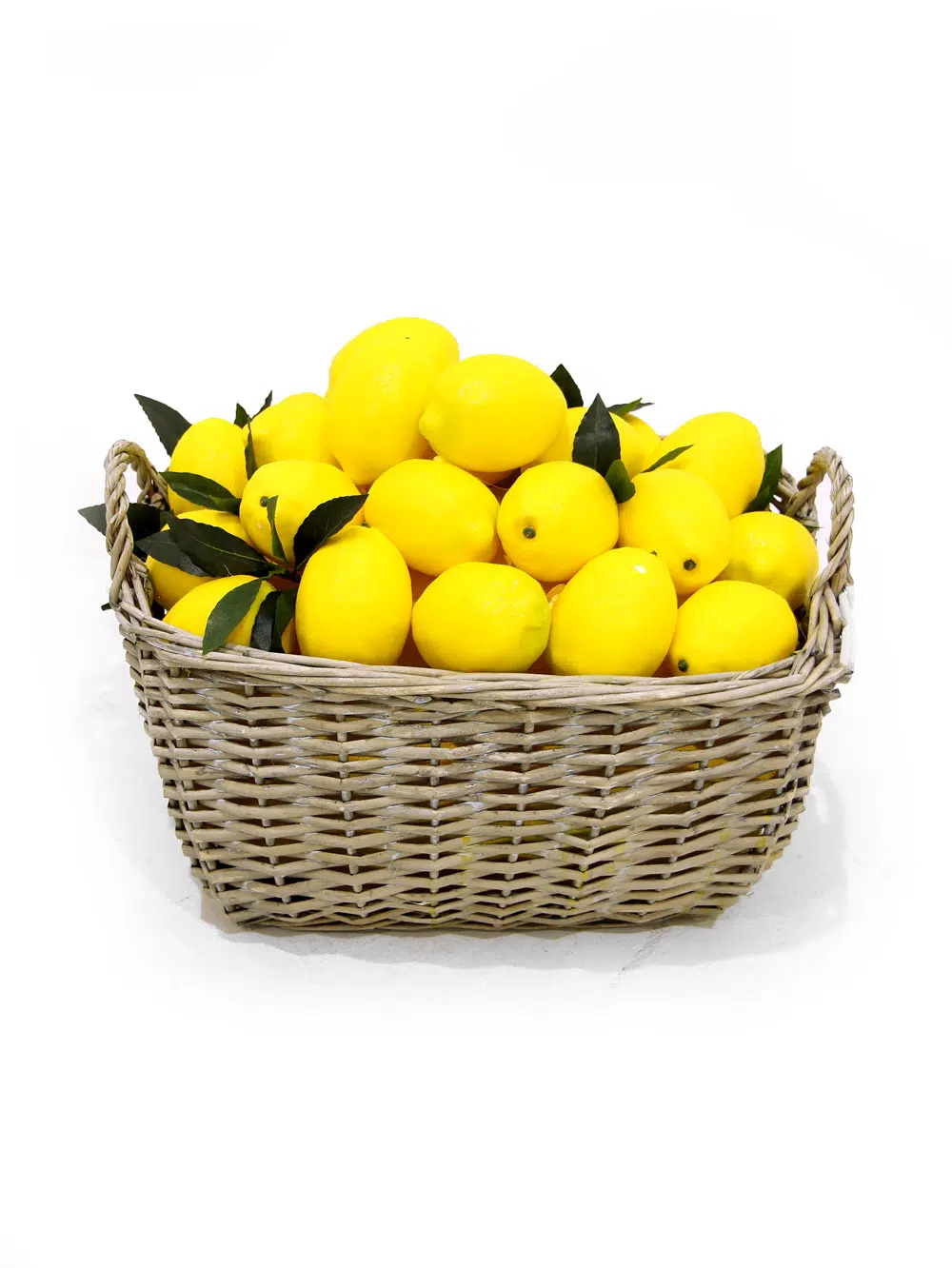 SN6038_Basket of Lemons - Small_021