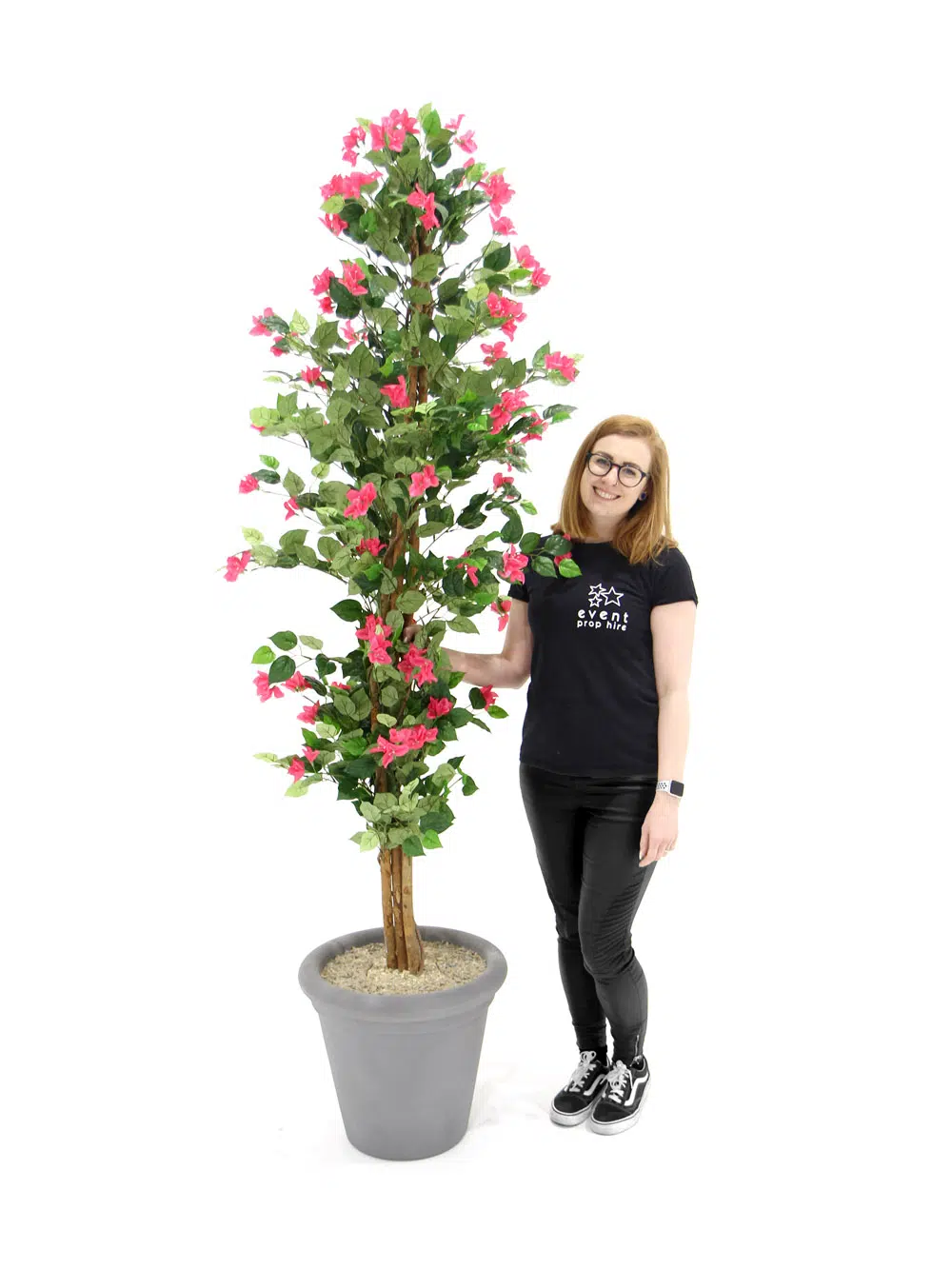 SN6099_Bougainvillea Tree in a Grey Pot_183