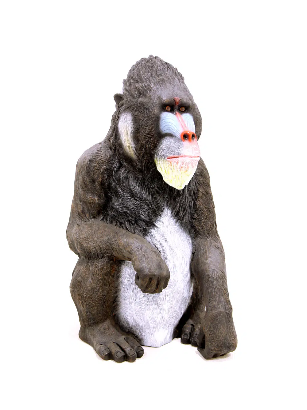 SN6104_Life-size Mandrill Monkey_076