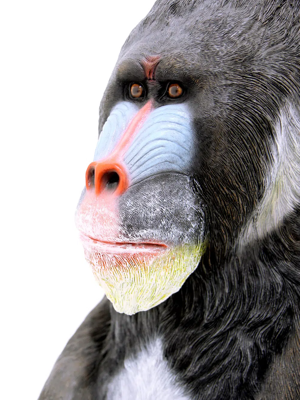 SN6104_Life-size Mandrill Monkey_078