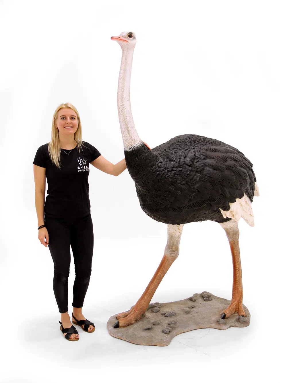 SN6106_Life-size Ostrich_041