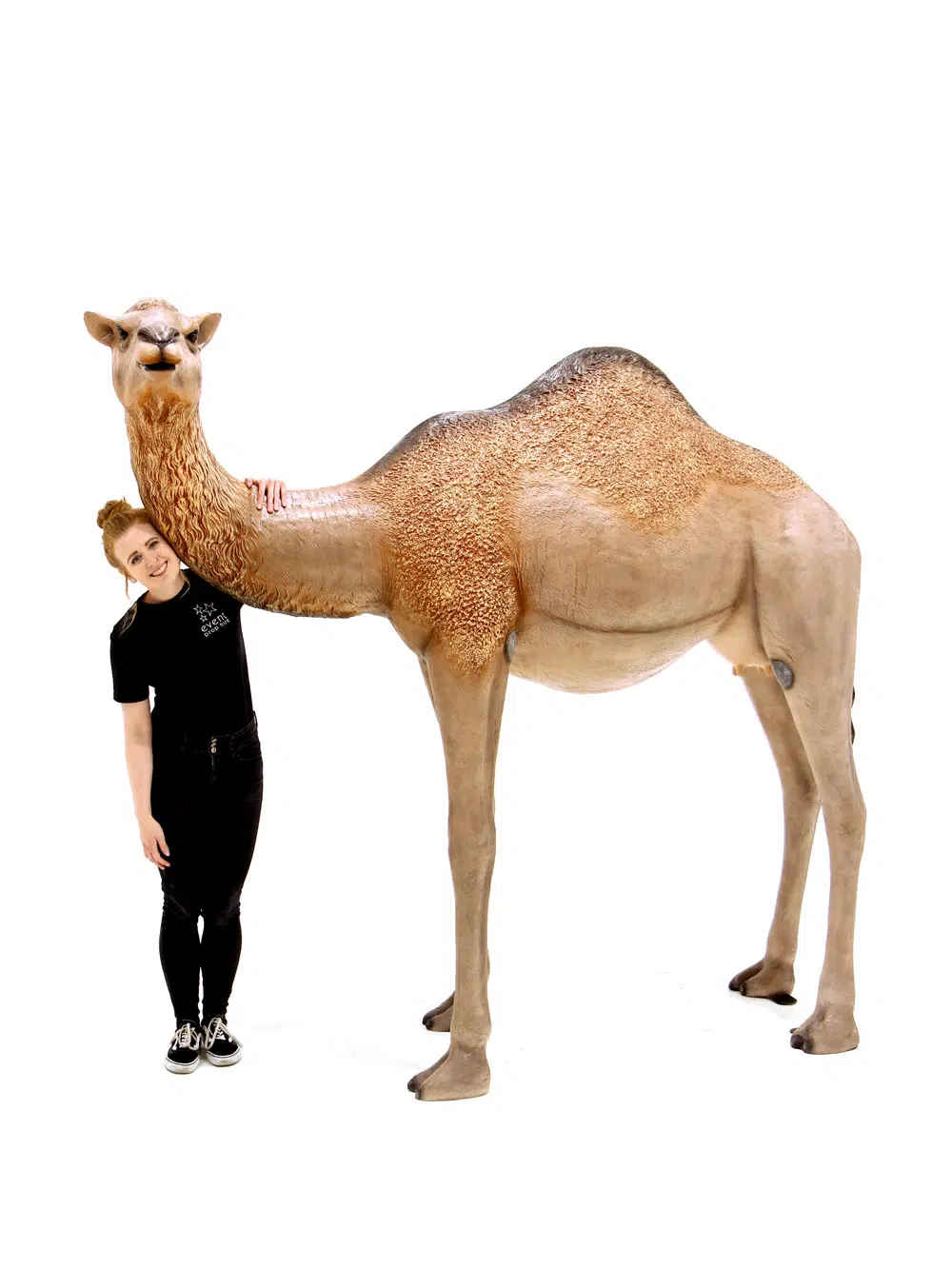 SN6109_Life-size Camel - Standing Dromedary_108
