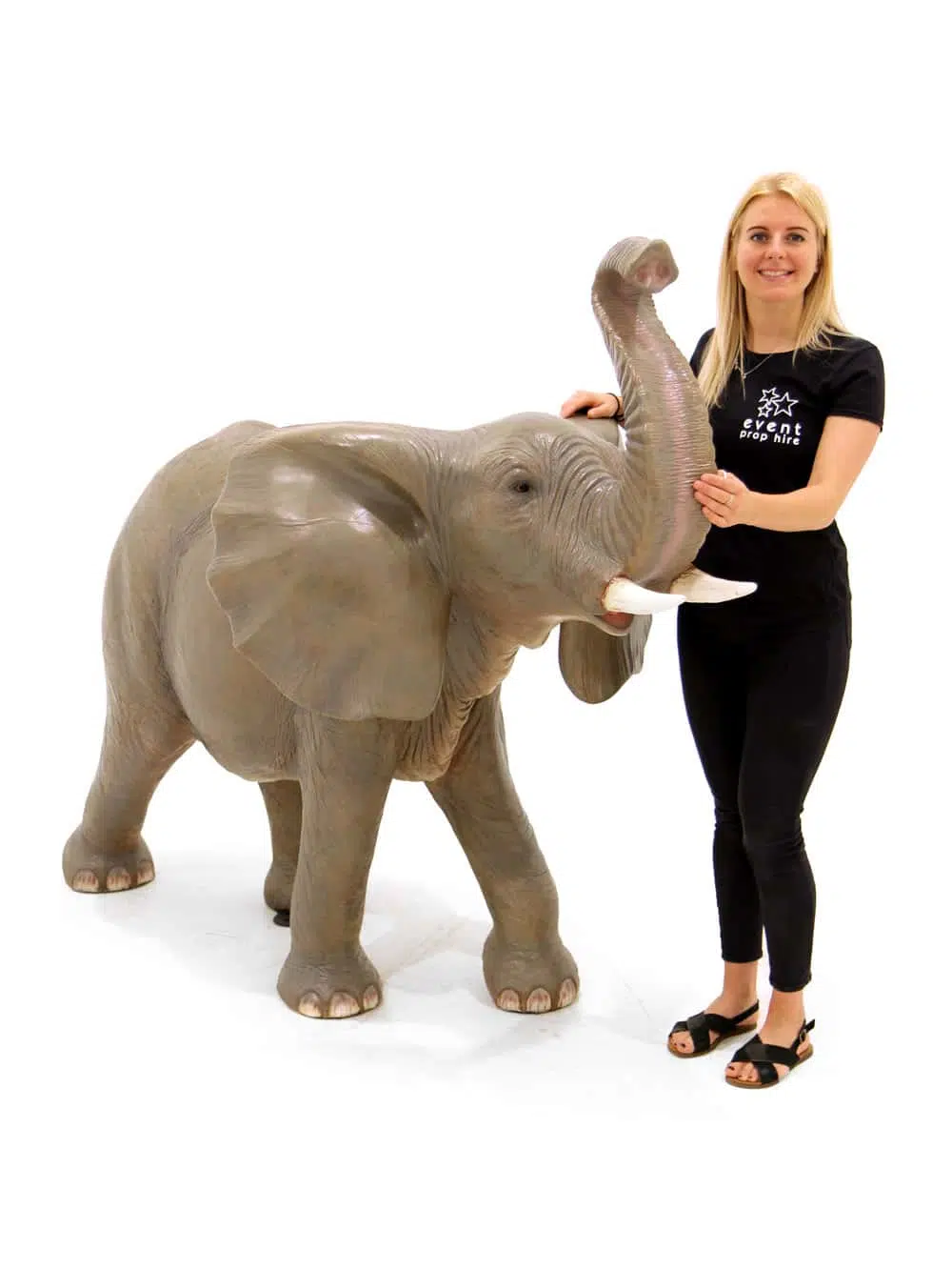 SN6295_Life-size Elephant (Mid-size)_070