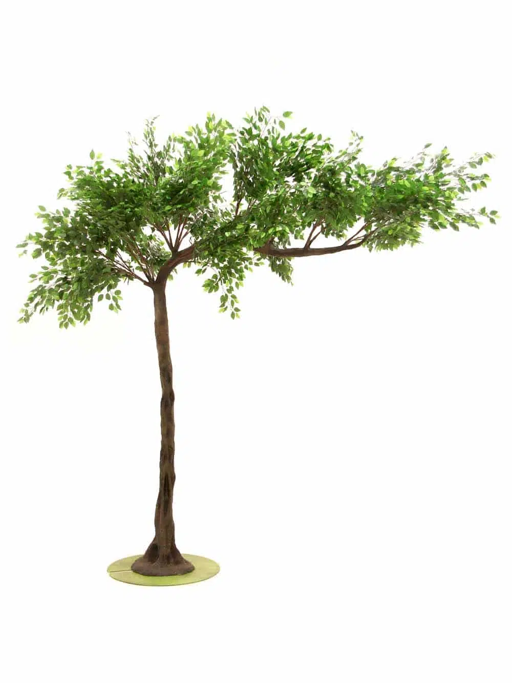 SN5606_Ficus Canopy Tree (3m)_event_prop_hire_EPH_Creative_2_optimised