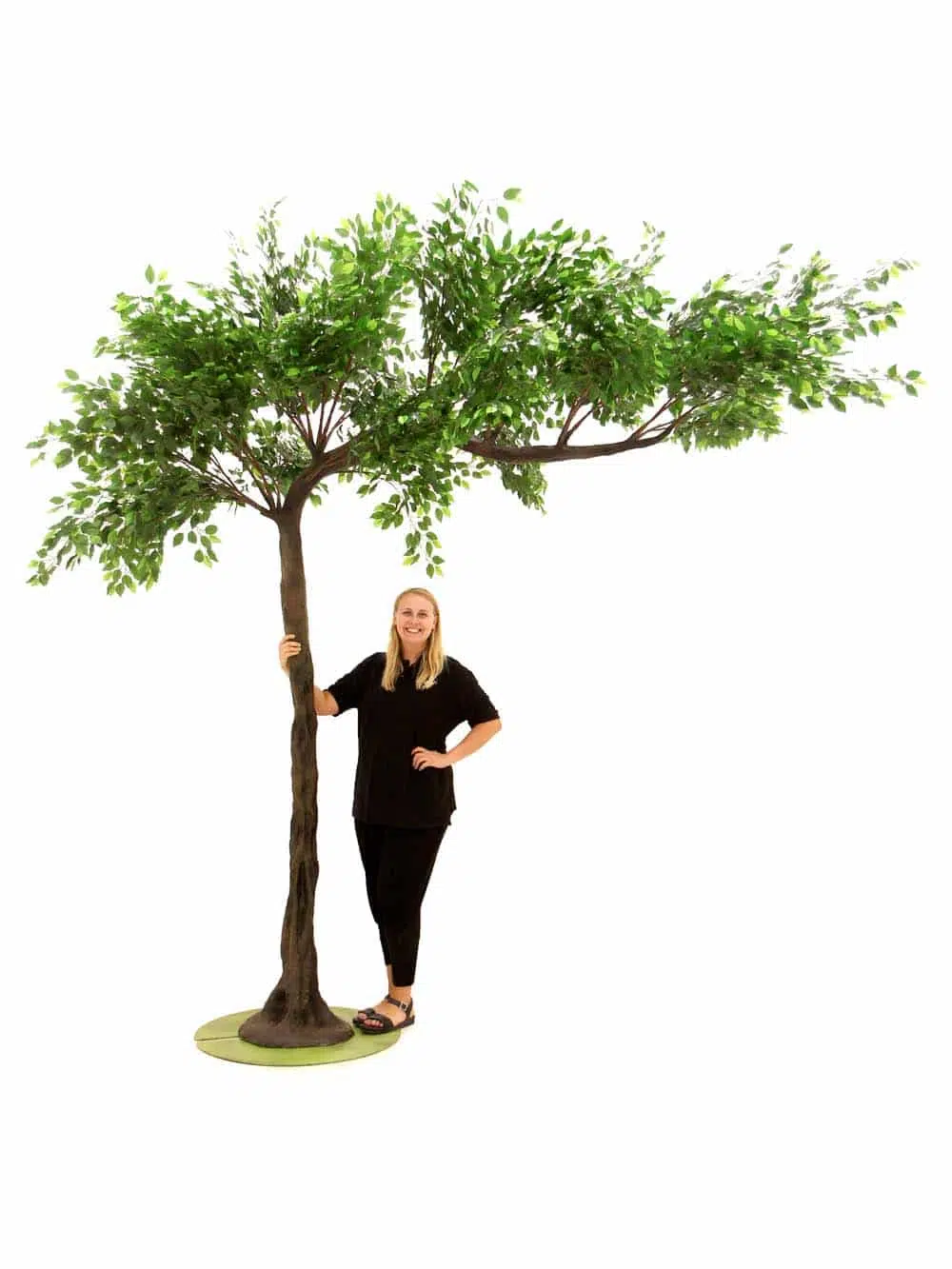 SN5606_Ficus Canopy Tree (3m)_event_prop_hire_EPH_Creative_9_optimised
