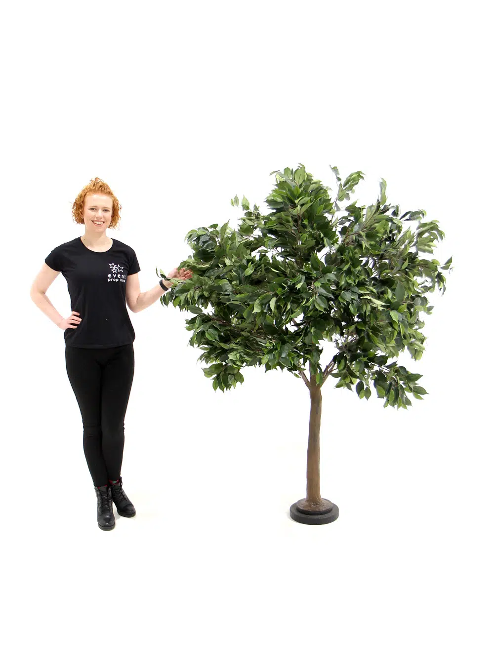 SN5609 Ficus Table Top Tree _event_prop_hire_126