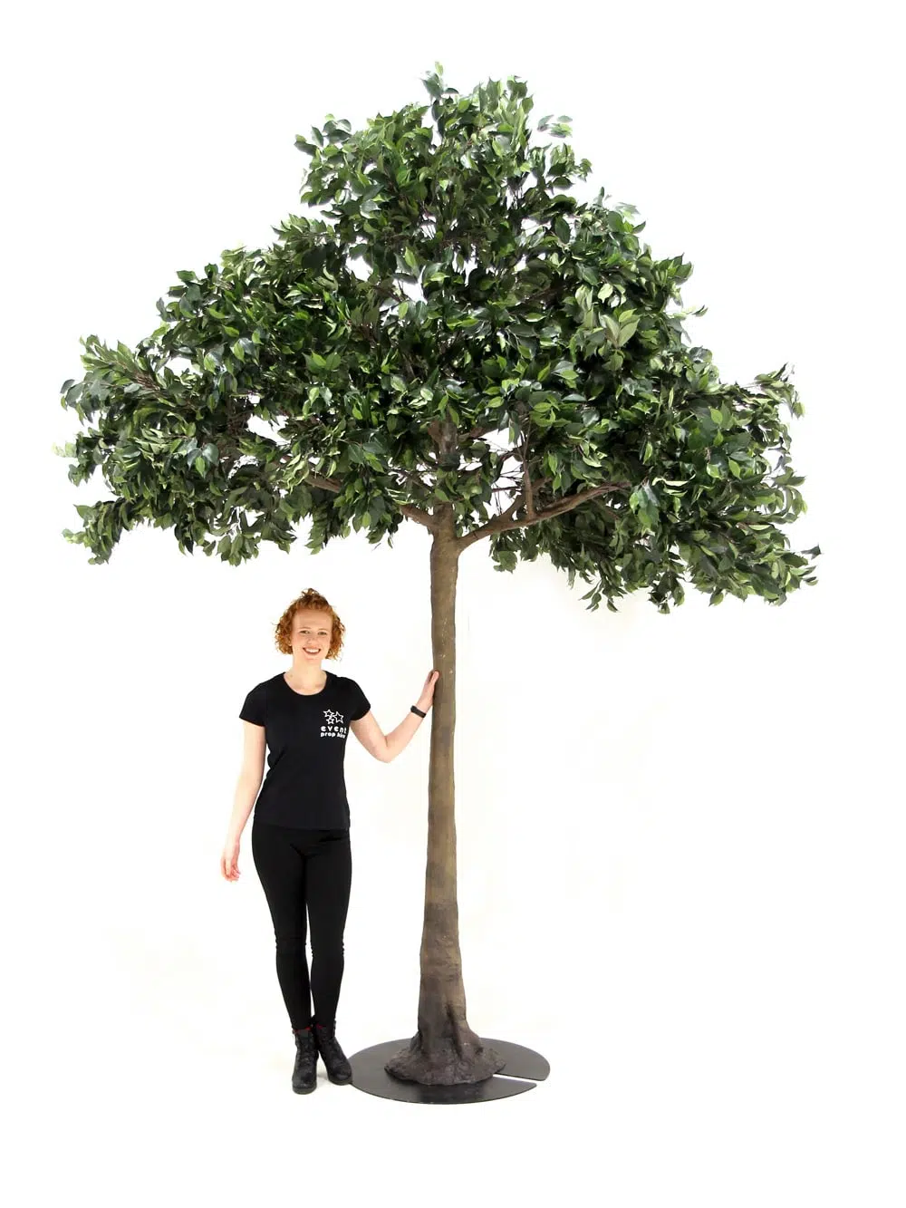 SN5610 Ficus Tree (3.6m) _event_prop_hire_130