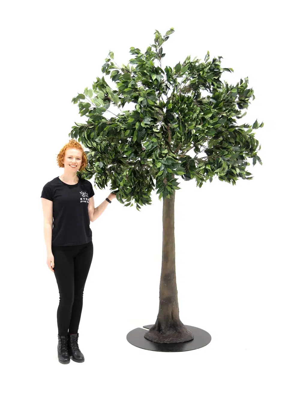SN5611 Ficus Tree (2.5m) _event_prop_hire_134
