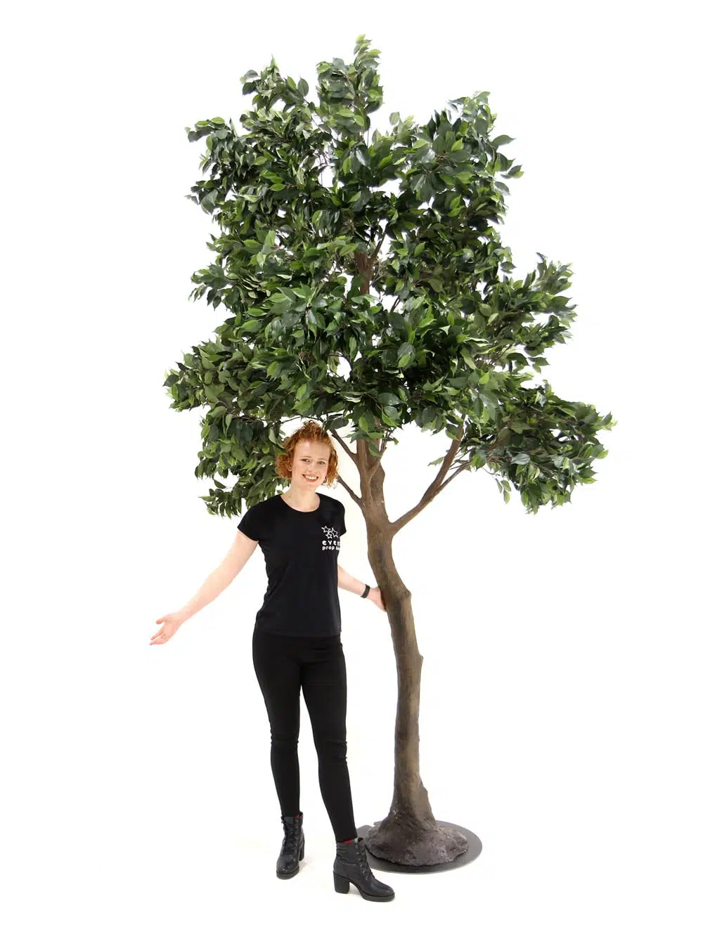 SN5612 Ficus Tree (3.3m) _event_prop_hire_132