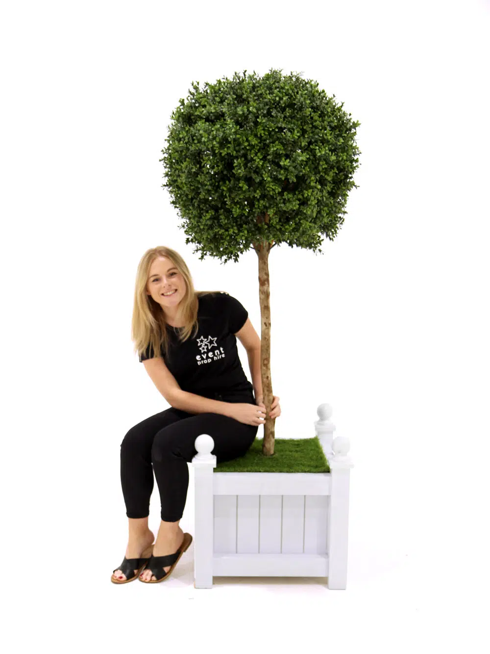 SN5923_Topiary Ball Tree_072