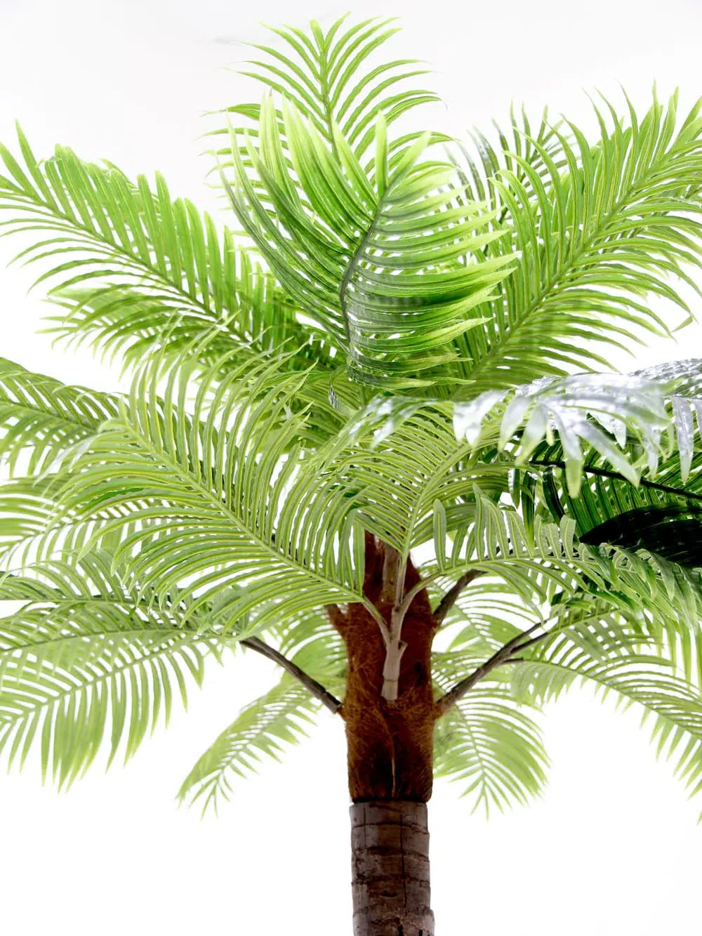 SN6048_SN6049_SN6050_Palm Tree_011