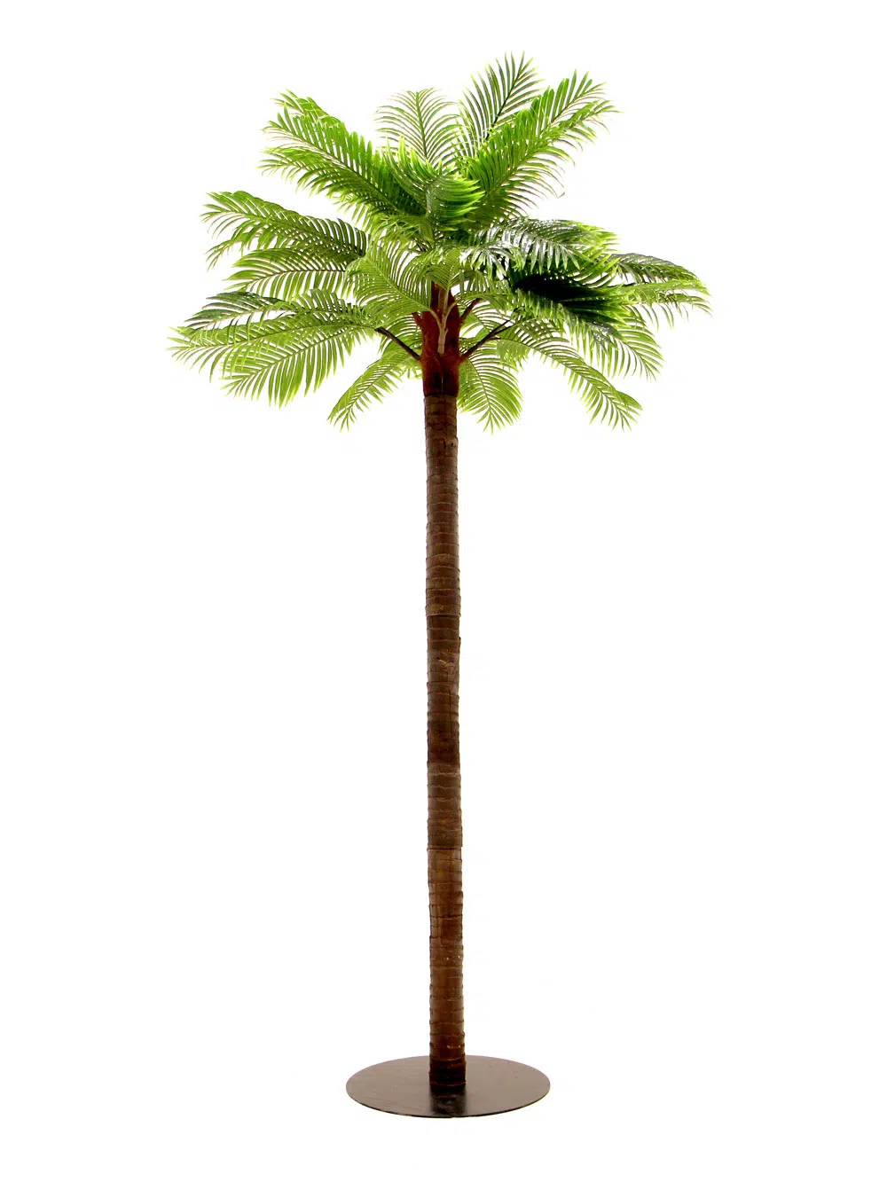 SN6048_Tall Palm Tree_002