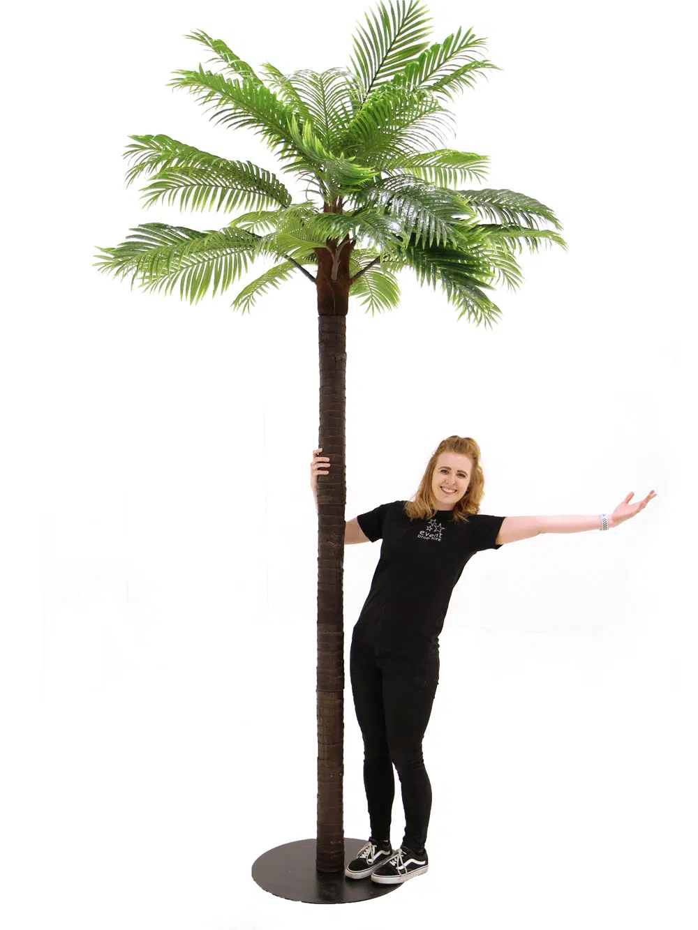 SN6048_Tall Palm Tree_004