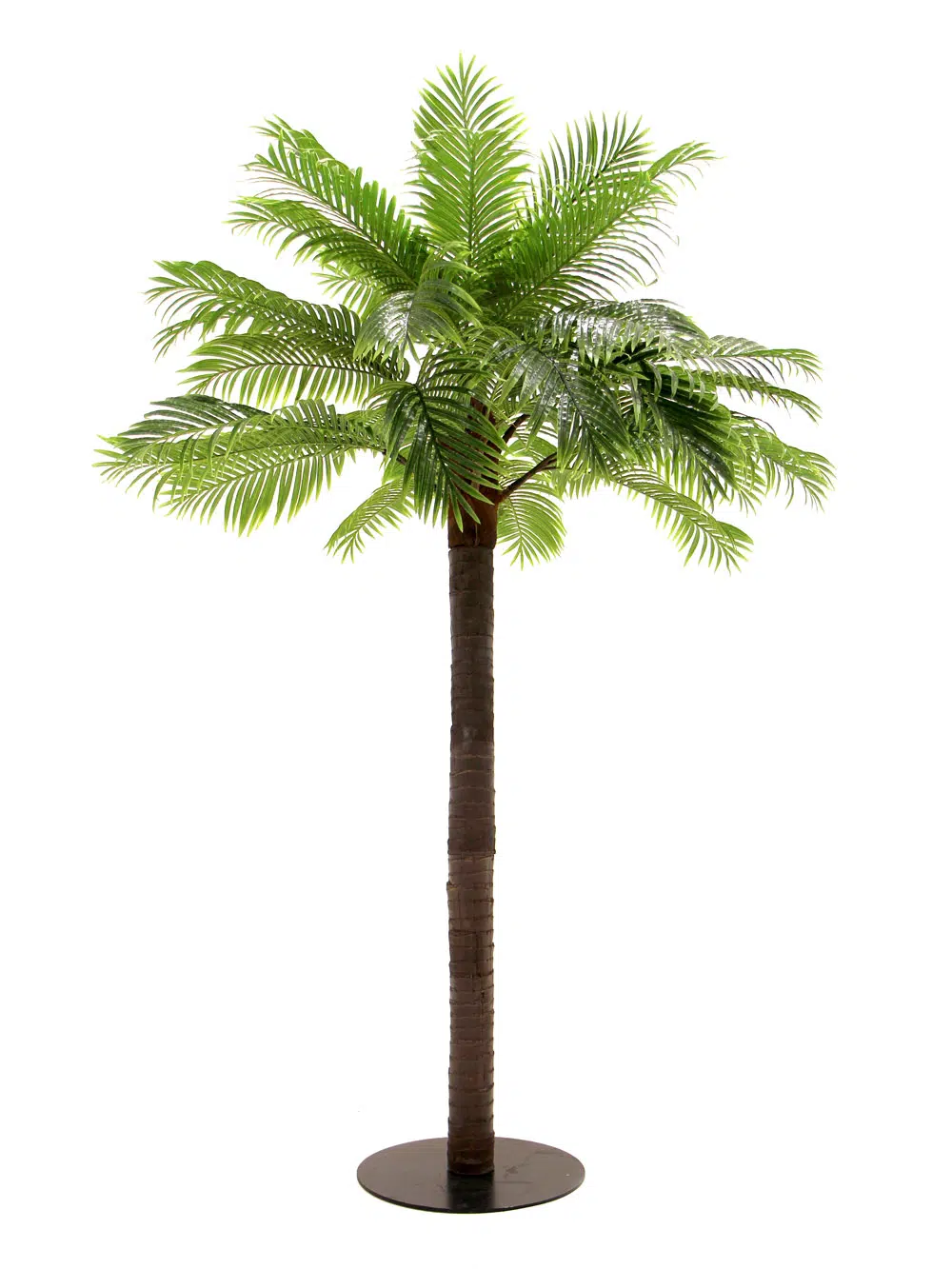 SN6049_Medium Palm Tree_006