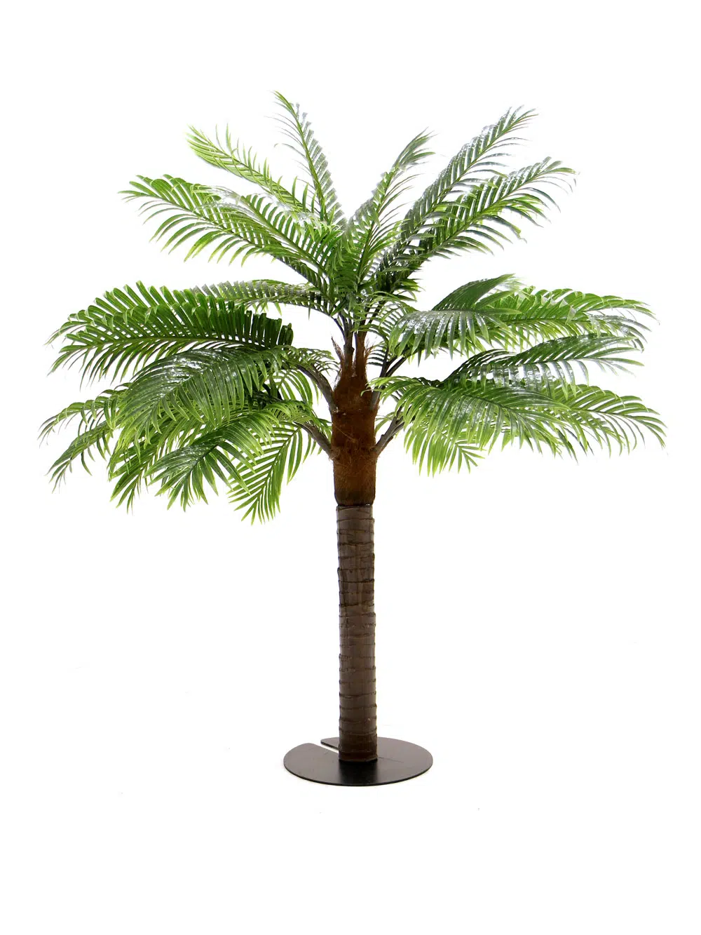 SN6050_Small Palm Tree_009