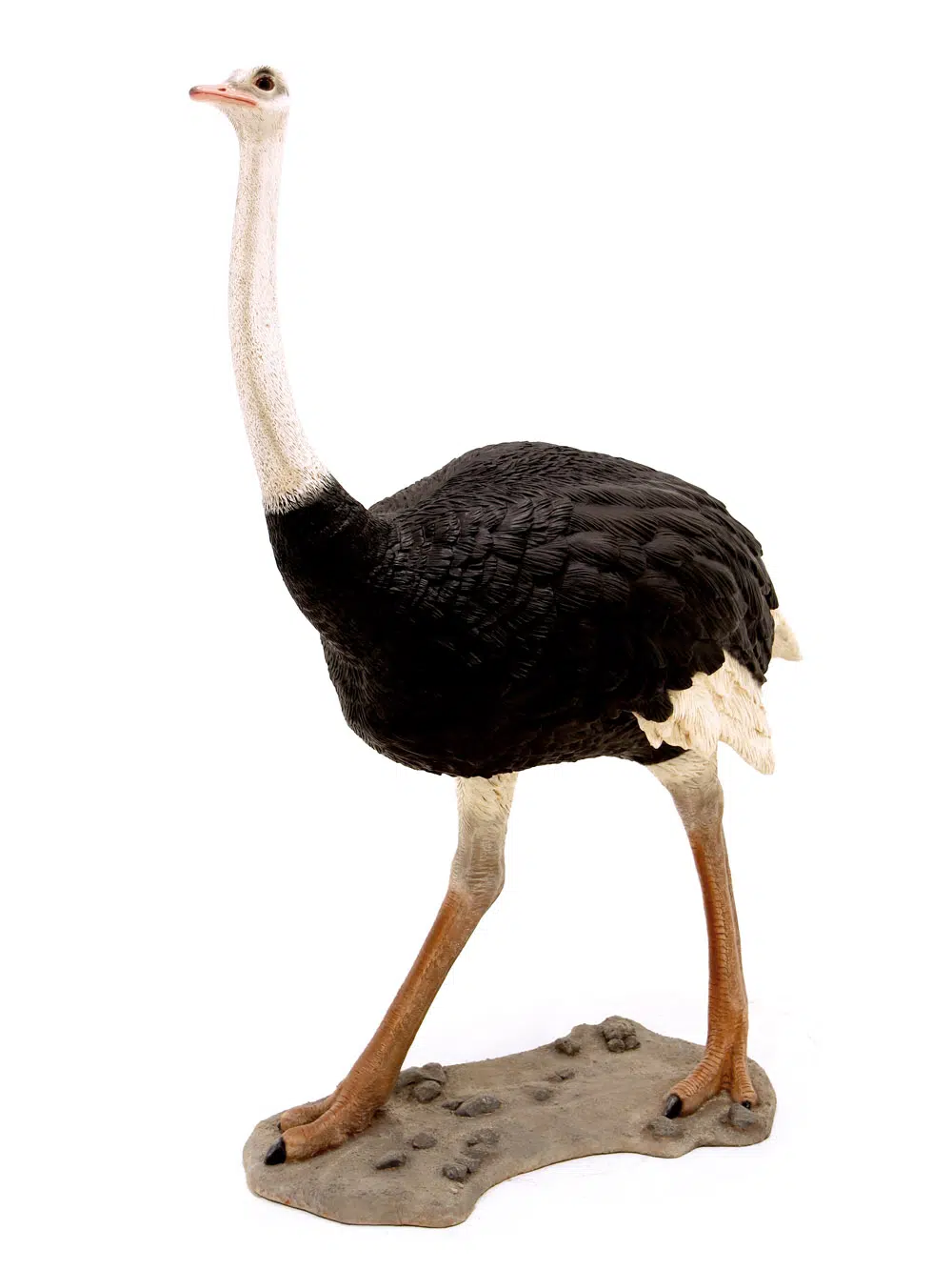 SN6106_Life-size Ostrich_038