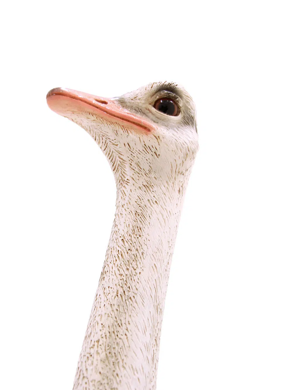 SN6106_Life-size Ostrich_039