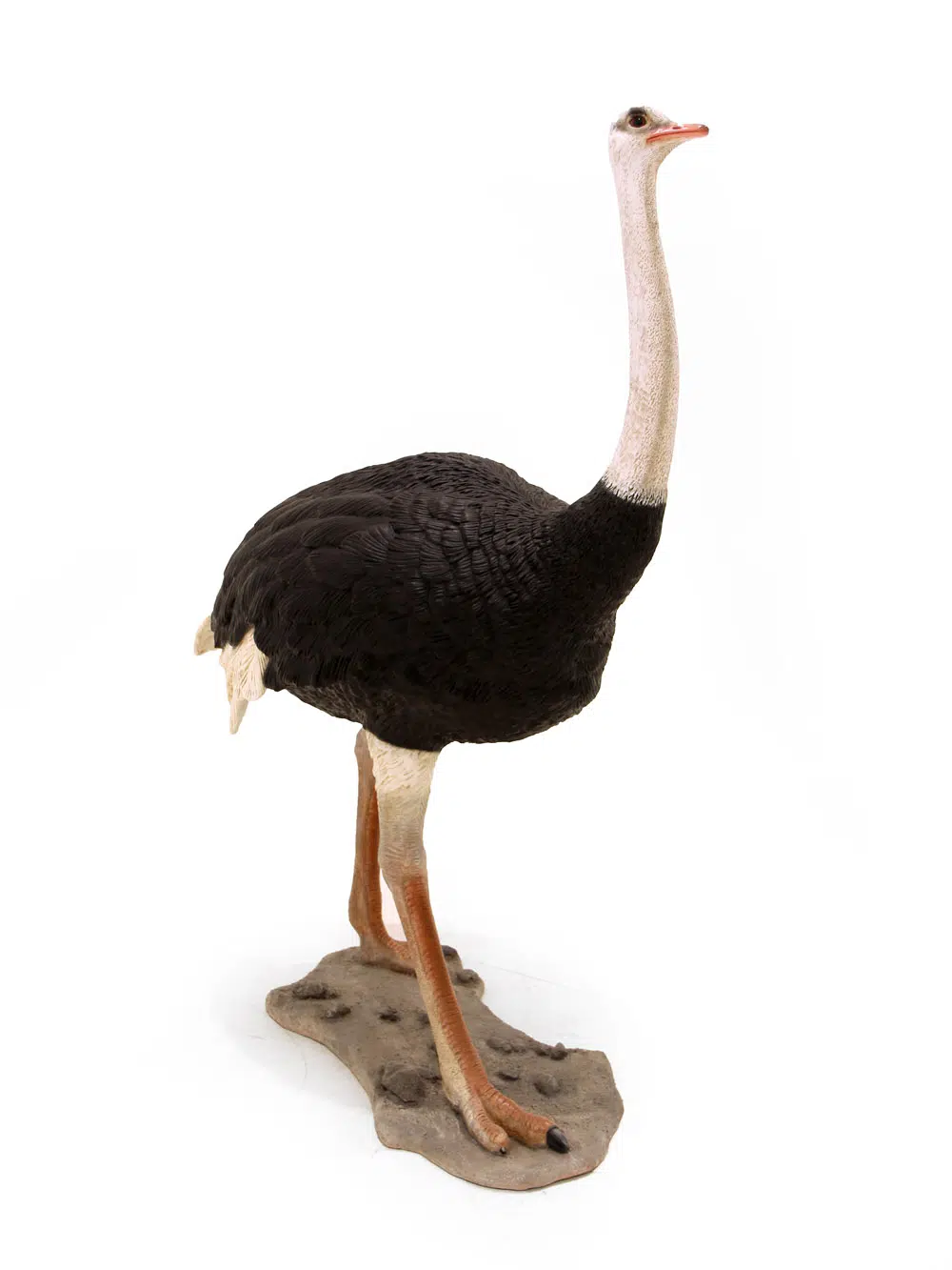 SN6106_Life-size Ostrich_040