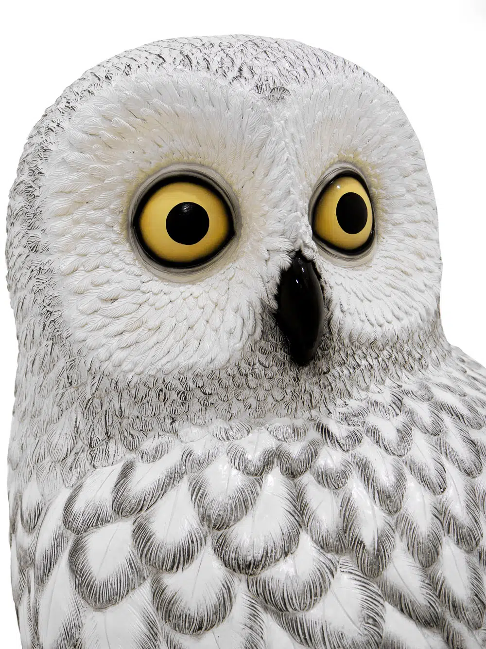 SN6302_Giant Owl_022
