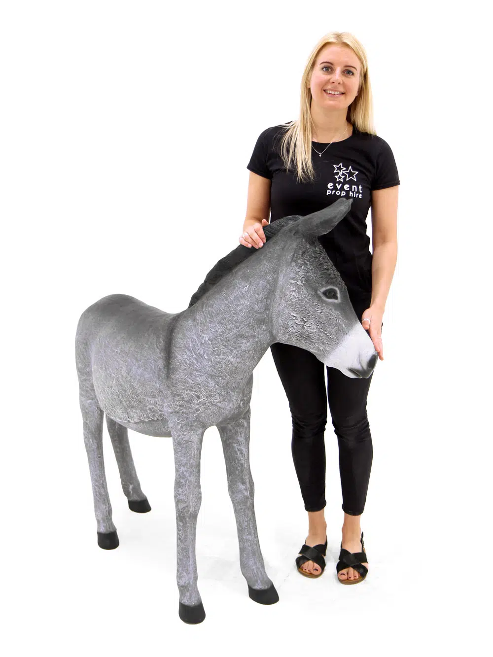 SN6304_Small Donkey - Grey_018
