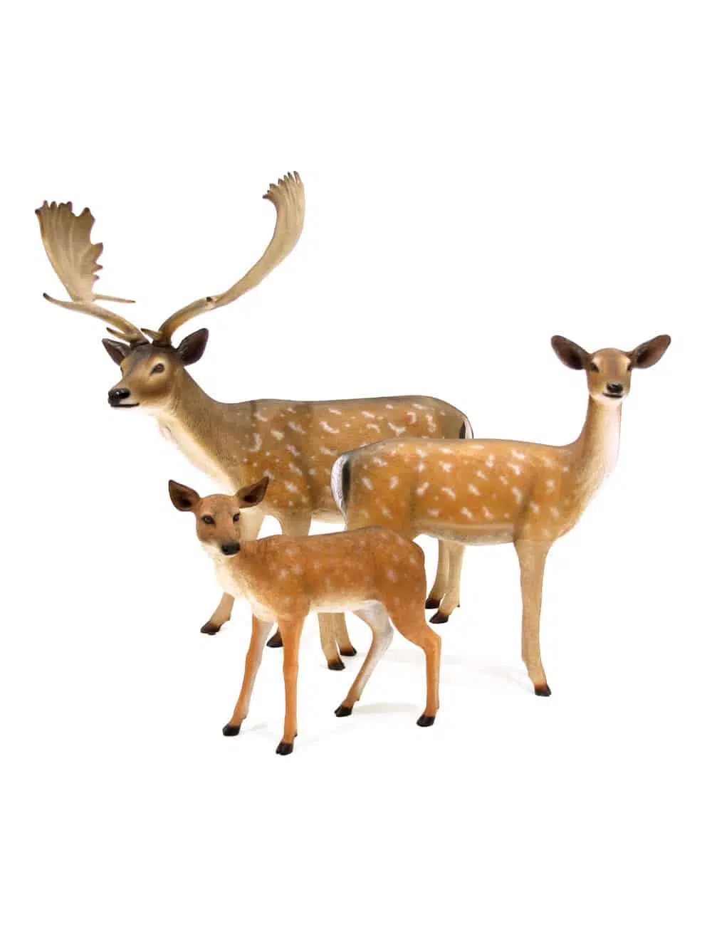 SN6315, SN6316, AML97_Stag, Female Deer, Fawn Group_092
