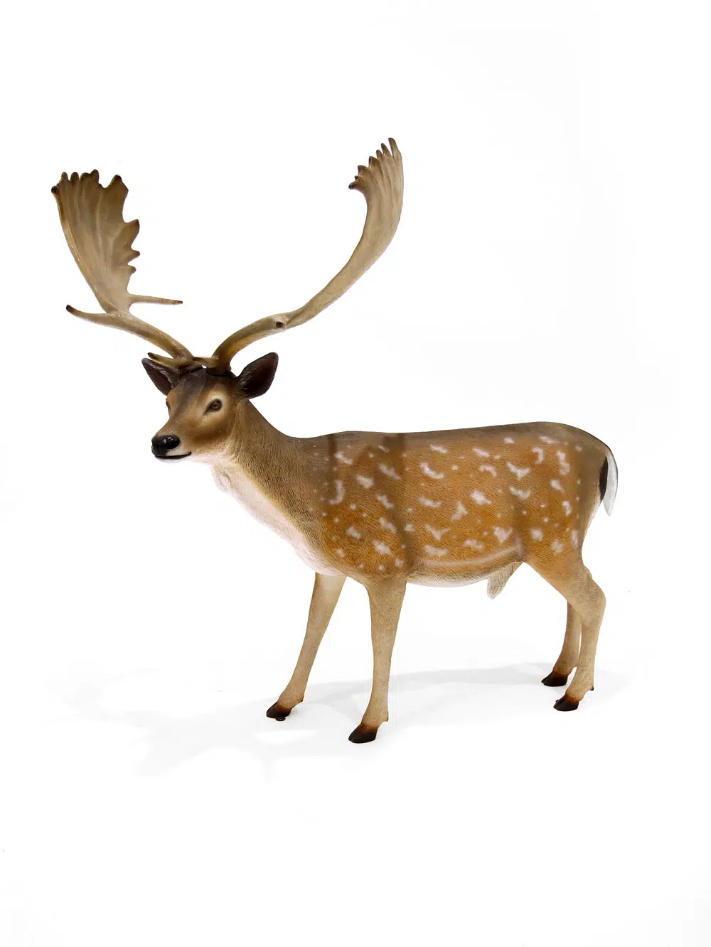 SN6315_Stag Prop_082