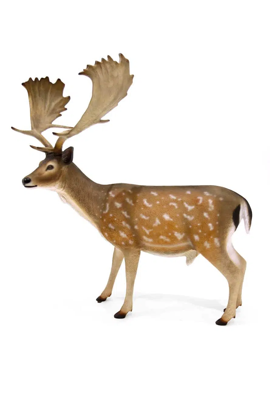 SN6315_Stag Prop_083