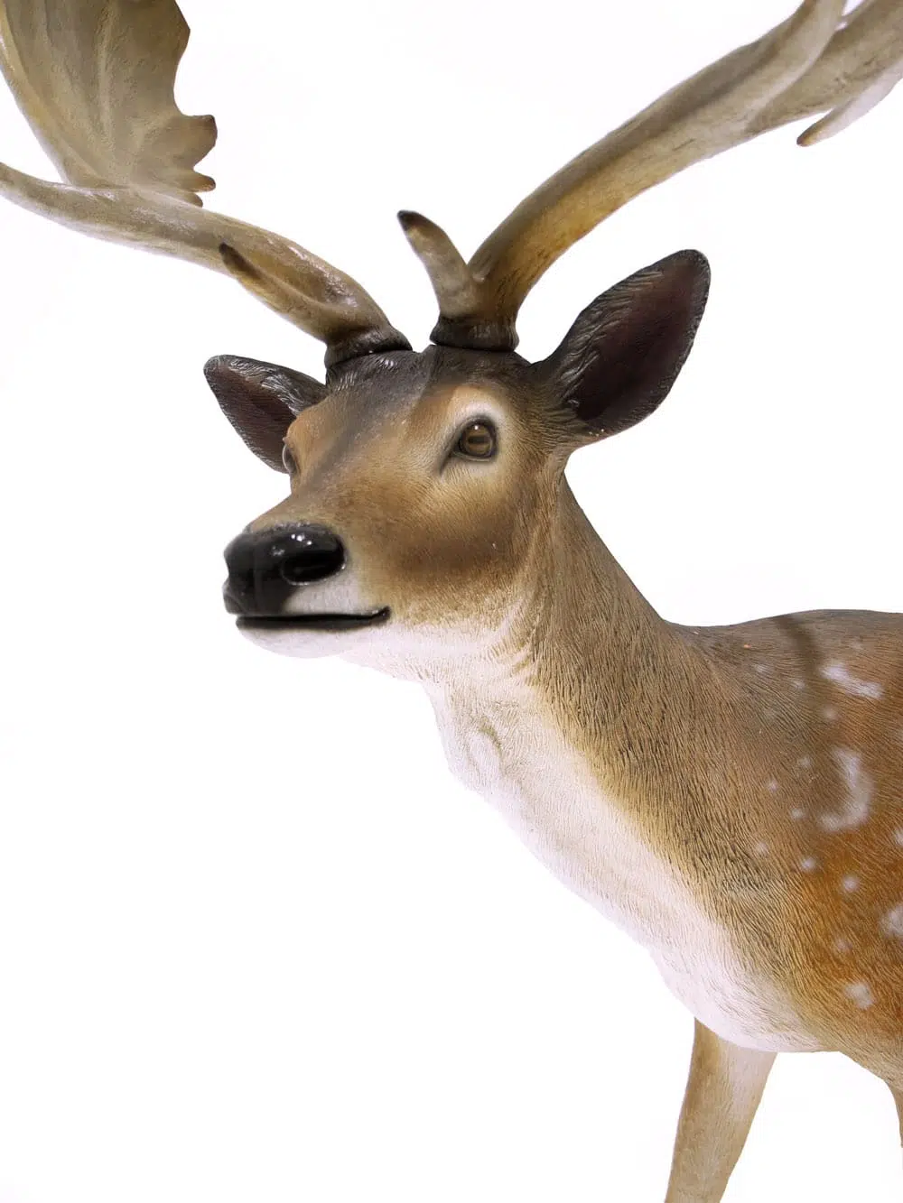 SN6315_Stag Prop_084
