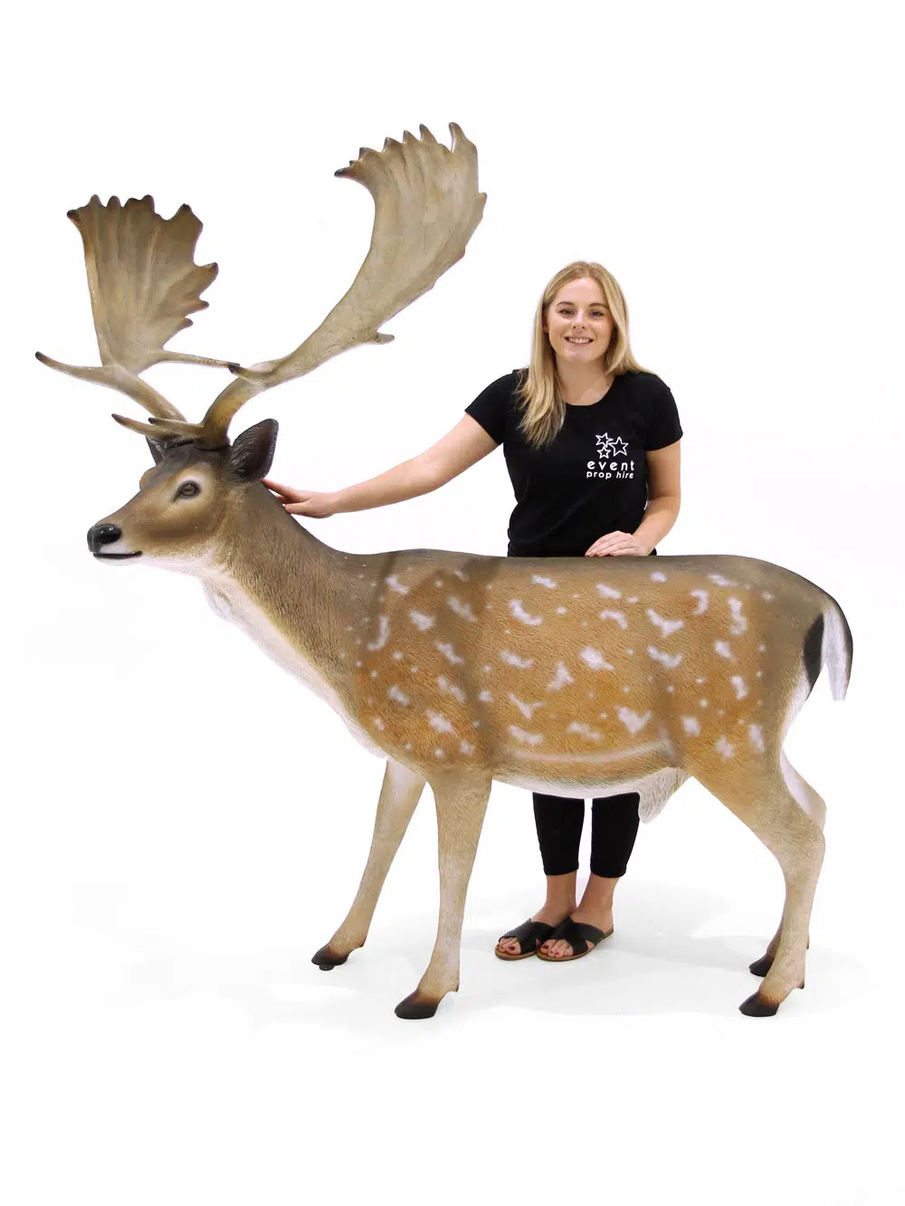 SN6315_Stag Prop_085