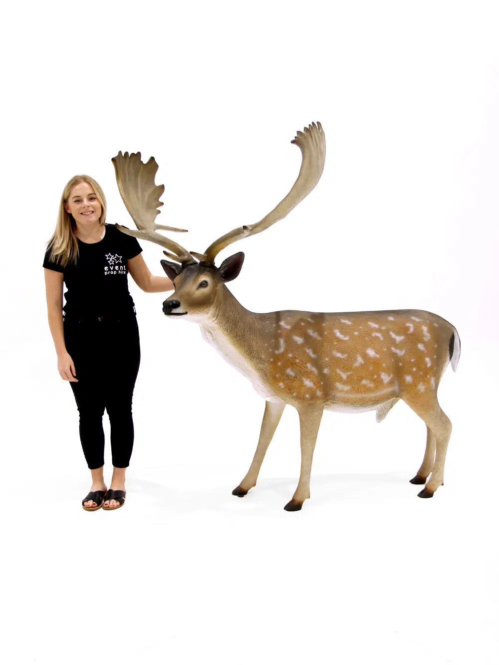SN6315_Stag Prop_086
