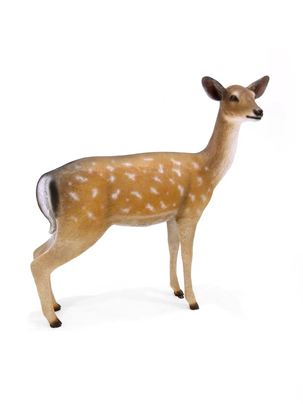SN6316_Female Deer Prop_088