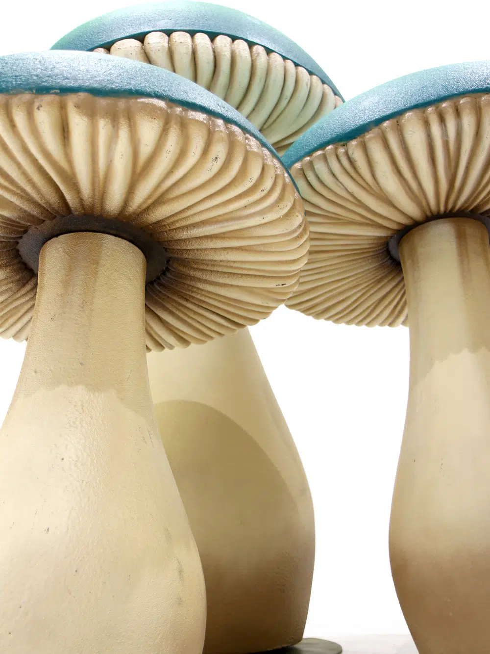 SN5983_Giant Flat Cap Mushroom Set_223