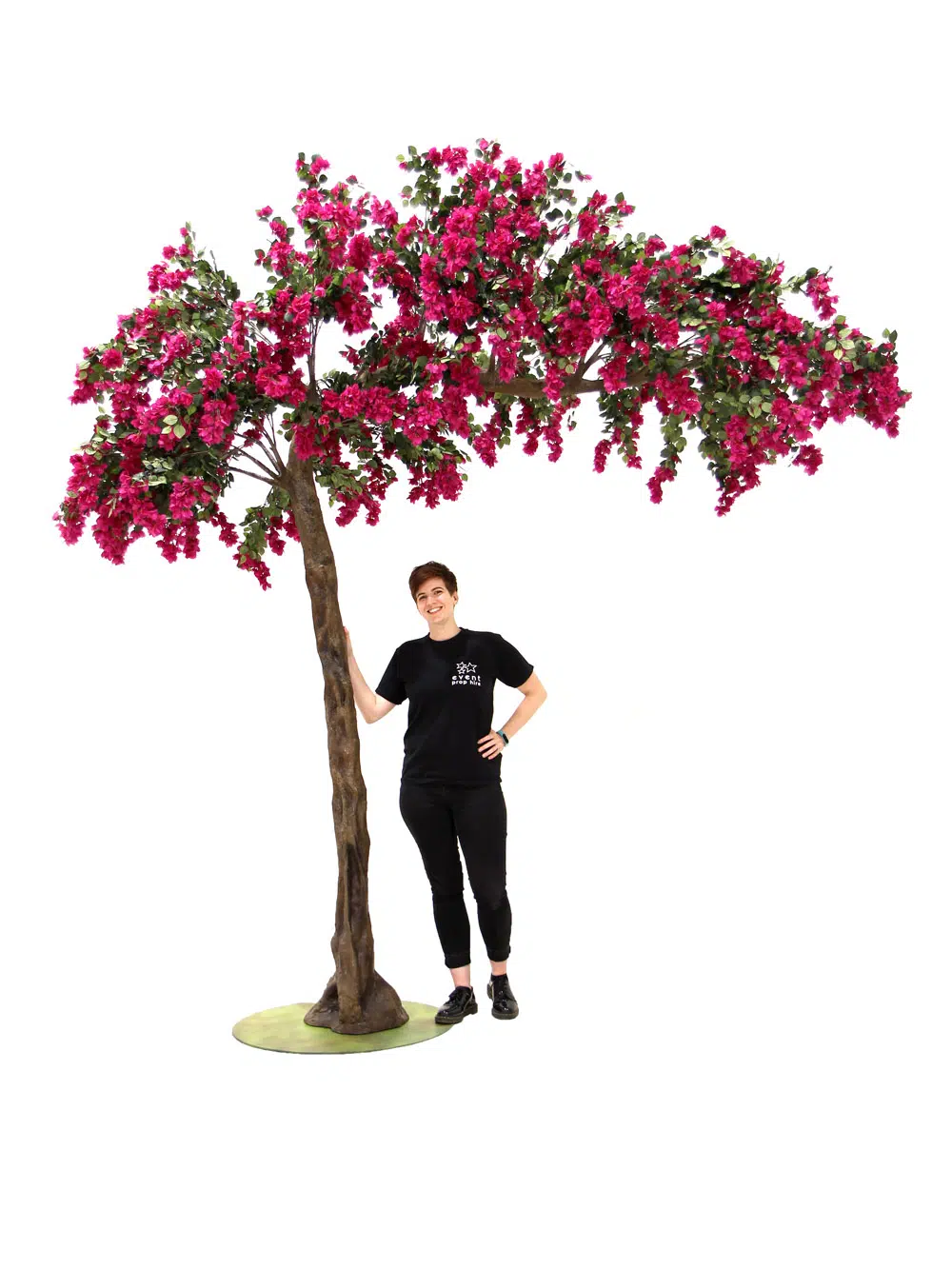 SN6056_Bougainvillea Canopy Tree_080