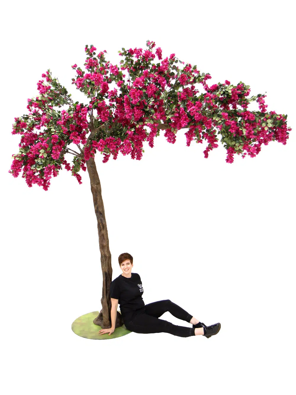 SN6056_Bougainvillea Canopy Tree_081