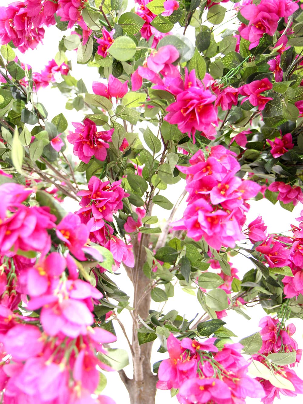 SN6059_Table Top Tree - Bougainvillea_ (1)
